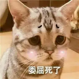 幽默段子笑话小学组织看电影,老师不允许带零食
