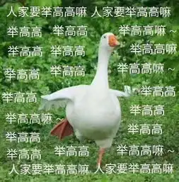 鸭鸭表情包别惹我,我有大哥罩鸭

