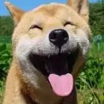 宜宾单身狗的反击,七夕就该这么过情侣勿点
