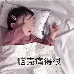 券商寒假实习,面试官问我猫会记仇吗一瞬间以为自己在应聘兽医
