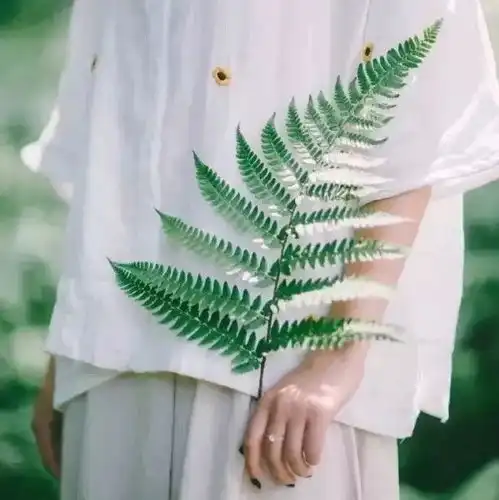 熬得过异地恋修成正果的星座情侣

