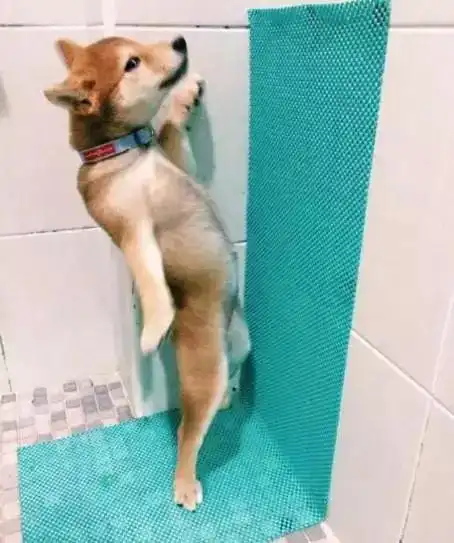 来自大爷灵魂深处的嫌弃