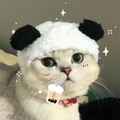 头像我宁愿失恋一百次也不愿意失去你一次
