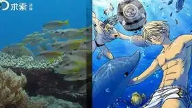 海洋生物这么萌超幽默tvb解说海洋生物纪录片深海奇珍
