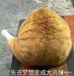 三个月小橘猫求领养
