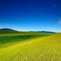微信头像草原风景带人微信头像图片大全
