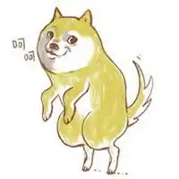 秋田犬头像搞笑图片微信头像图片大全
