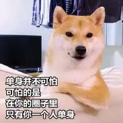 情人节单身狗朋友圈文案,皮一下很开心
