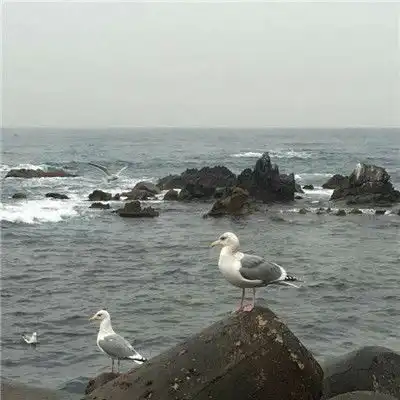 微信签名一句话至自己经典励志做最好的自己被最好的人爱
