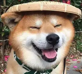 请问这个头像是不是个情侣头像啊
