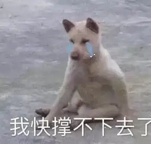 表情包你就是个弟弟
