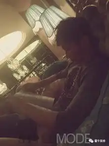 给明星的家设计装修的原来是他们...
