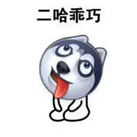 高清二哈搞笑头像微信头像图片大全
