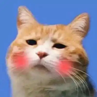 狗狗情侣头像一左一右二哈情侣头像蠢萌一对
