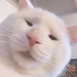 朋友你早上吃的啥我薯片朋友中午吃的啥我薯片辣条妖妖妖面的美拍
