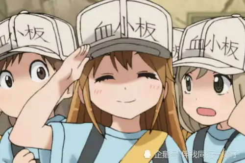 纯爷们才该看的动漫,瞬间让你看出少女心,还你一堆有生之年
