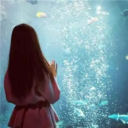 股海多娇投资,不管遇到什么困难,最重要的是一定要相自上证指数1a0001聊吧赢家聊吧
