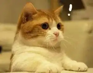 微信头像是猫咪的赶紧换掉,因为
