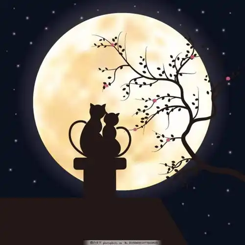 听说今晚有超级月亮
