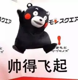 南阳顺铃江铃
