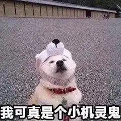 因为整理东西非常焦虑,整理东西就很烦躁,甚至到要哭的地步,有人知道为什么吗