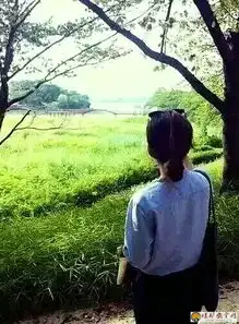 希望的田野何建民摄影作品
