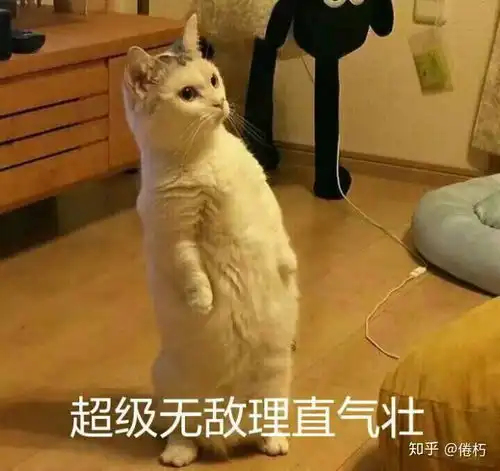 有不有和这个头像能对应的狗狗的情侣头像
