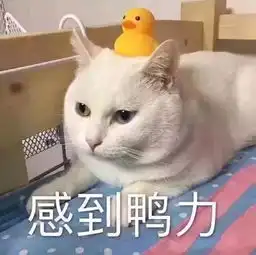 大白鸭表情包i感到压力
