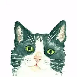 谁有这只小猫的情侣头像另一个,是一只粉色的,旁边有爱心的小猫,我
