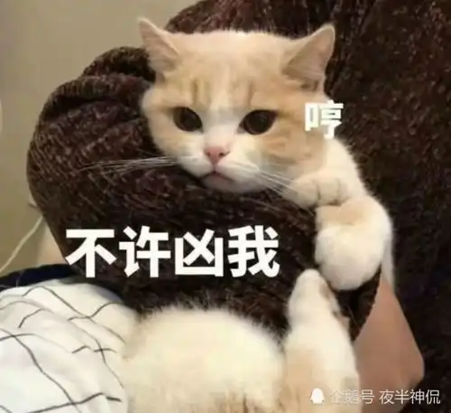 萌娃撩人情侣表情包被爱的都是祖宗,去爱的都是废物
