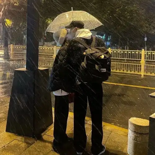 适合冬天的氛围感情侣头像
