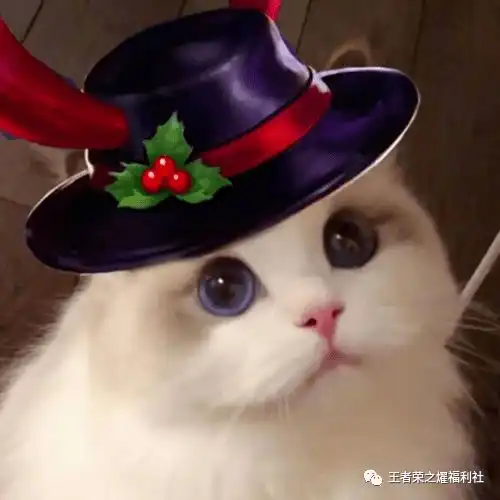 为何王者荣耀中有这么多英雄,只有吕布自己第一件破军
