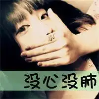 黑白翼的个人空间
