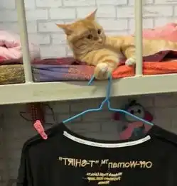 爆笑gif你永远不知道你的对手是谁

