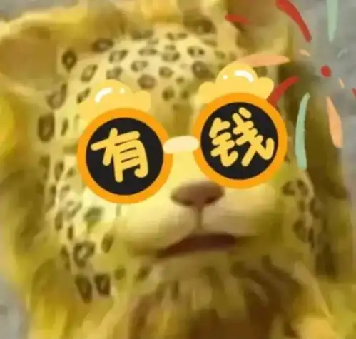 暴富图像来袭,准备好了吗
