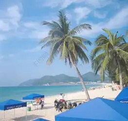 海景海滩椰子树图片高清图片免费下载jpg格式编号15130259千图网
