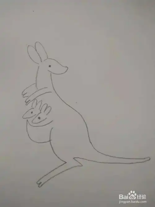 袋鼠妈妈和袋鼠宝宝简笔画画法
