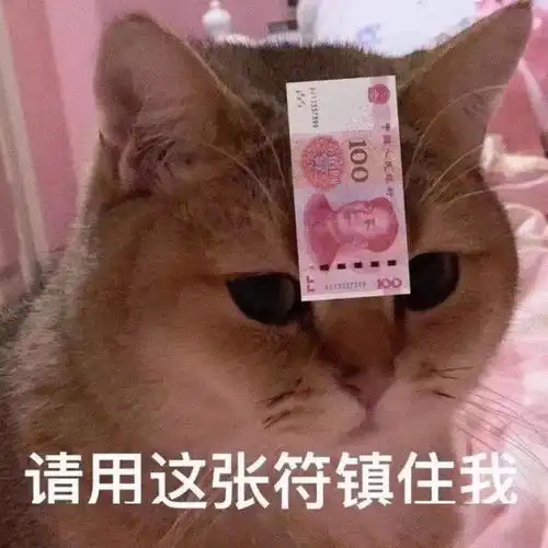 这期的表情包有点阴阳怪气
