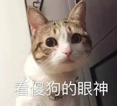 那些奇葩的宿舍群名,看到第一个就笑喷了

