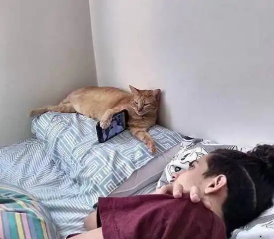 搞笑图片找女朋友一定要找胖的,因为她一旦瘦下来,你就赚翻了
