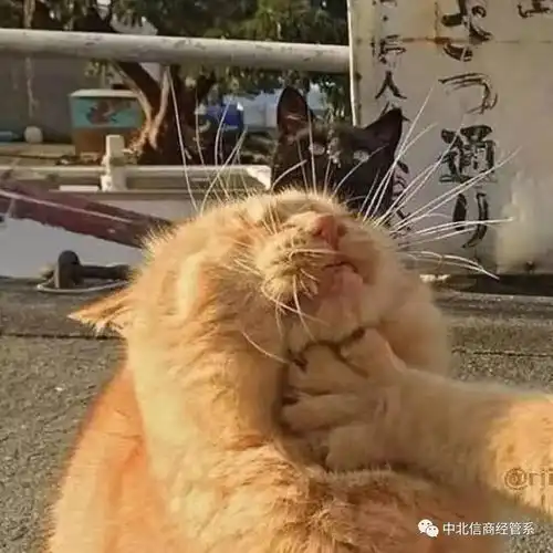 经管特辑疫情结束后,我要第一个见到你
