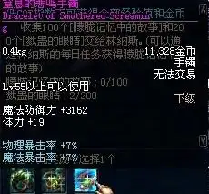 dnf70版金身用尽一切方式保护队友2
