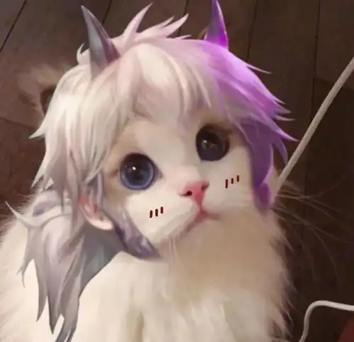 王者荣耀kpl限定皮肤猫咪头像王者荣耀猫咪头像婉儿裴擒虎曹操快吧手游
