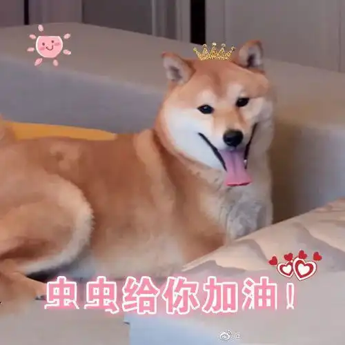 奇思妙想啊创夏日配综艺冰爽好心情

