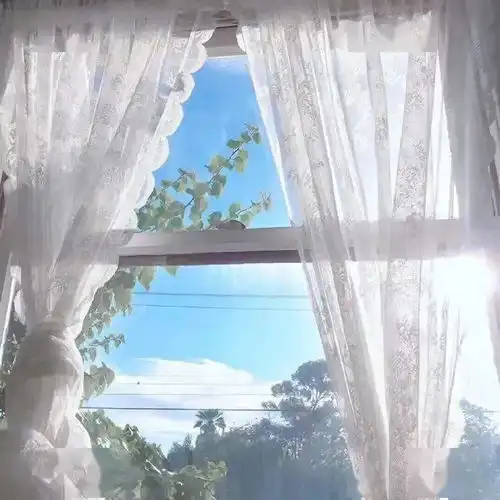 氛围感满分的背景图
