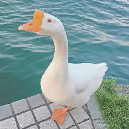 朋友圈背景图祝你今天愉快
