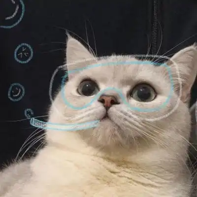 可爱猫咪情侣头像泡面加蛋烦情侣头像我要个性网
