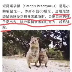 史上最恐怖cosplay,为周六提提神丨搞笑图片
