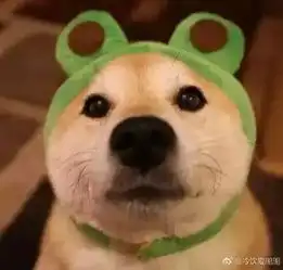 场面猎奇高校老师穿龙袍,学生全看呆没人玩手机