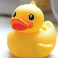 卡通鸭子头像图片微信头像图片大全
